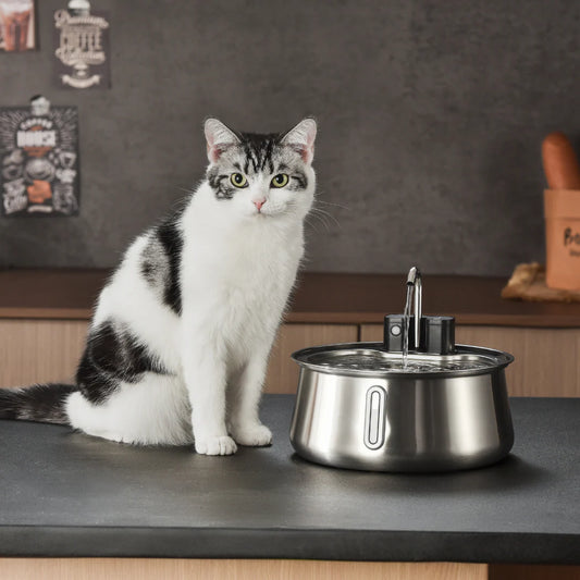 Stainless Steel Water Dispenser Automatic Fountain