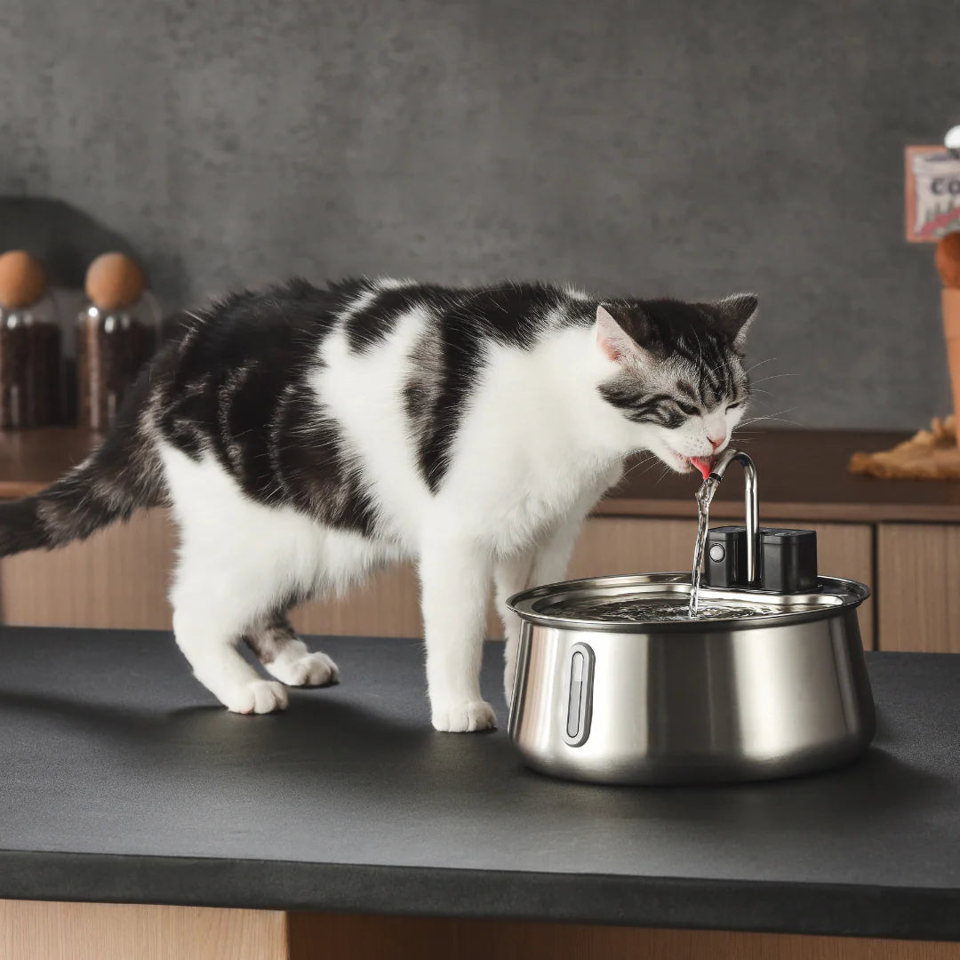 Stainless Steel Water Dispenser Automatic Fountain